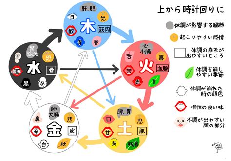 五行健康|陰陽五行説と東洋医学の関係を解説！体質改善や美容。